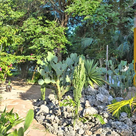 Reef & Beach Resort - Spa Jambiani-3